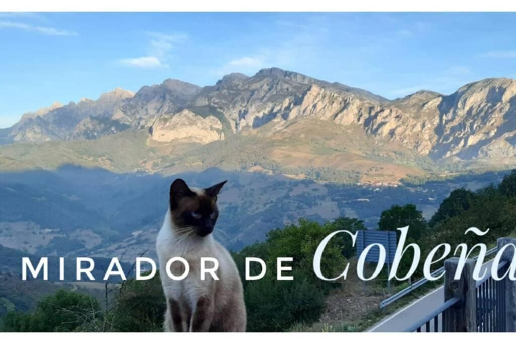 דירות El Mirador De Cobena Ii. Aires De Liebana En Picos מראה חיצוני תמונה